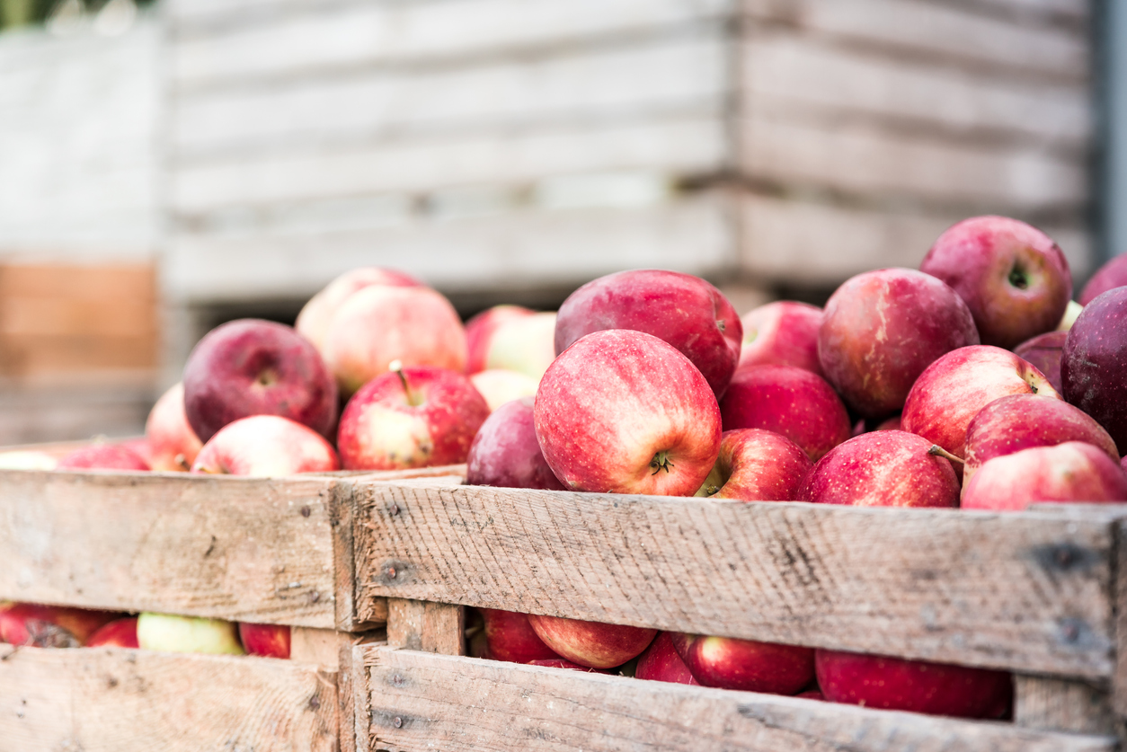 November produce and seafood