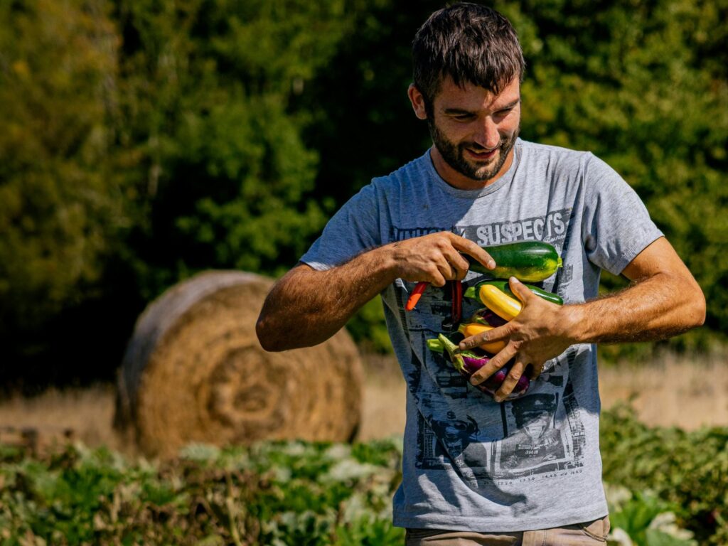 Farmer harvesting fresh vegetables in a field, representing local produce sourcing