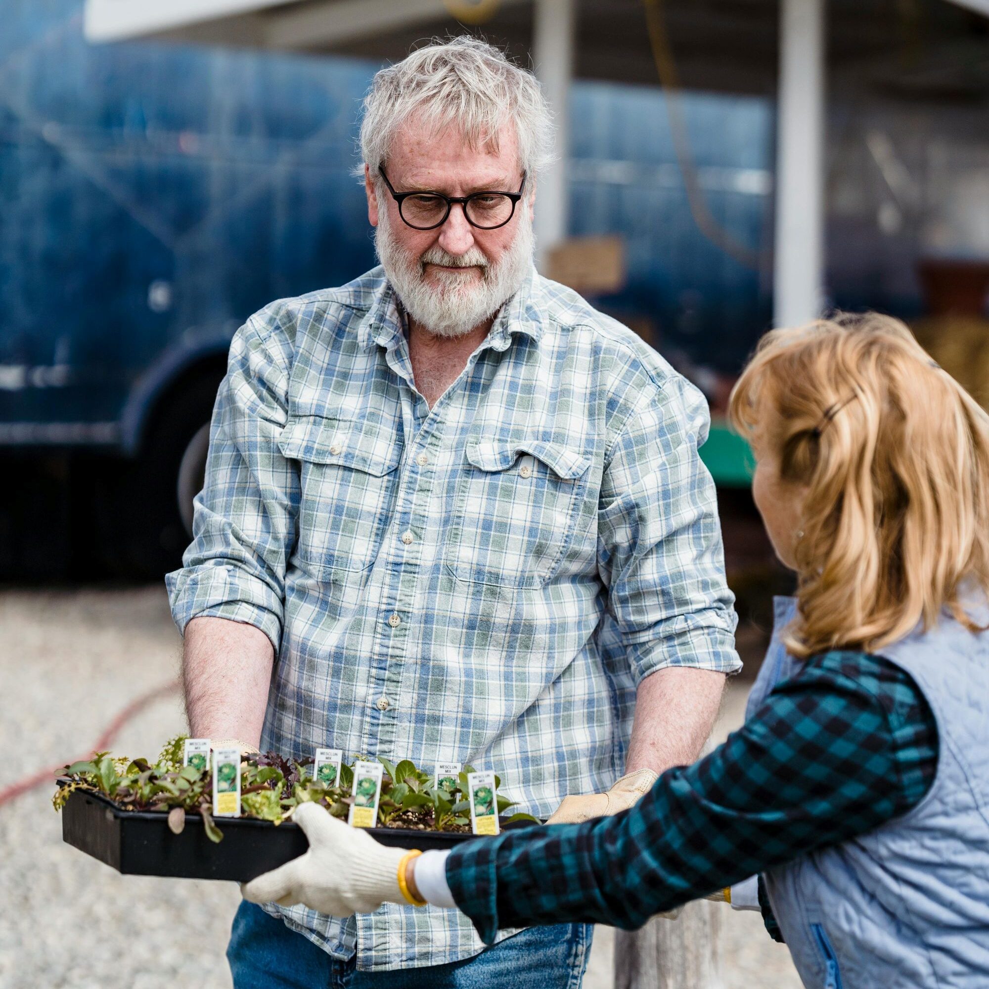 People handling trays of young plants at a small farm, supporting local food sourcing